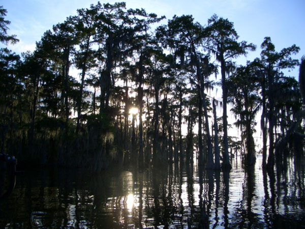 Lake Verret – Louisiana